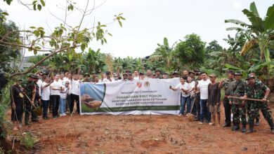 Mercure Makassar Nexa Pettarani Mengadakan Kegiatan Penanaman 1000 Pohon dalam Rangka Hari Bumi