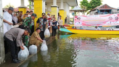Penjabat Gubernur Sulsel Kunjungi Soppeng, Tebar 160 Ribu Benih Ikan di Salomate