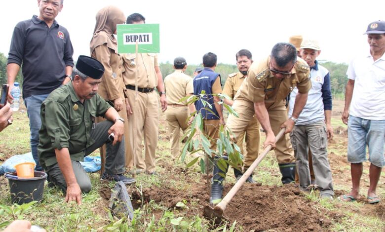 Tidak Hanya Bibit Unggul, Petani Bulukumba Juga Dibantu Pembersihan Lahan