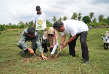 Hari Bumi Sulsel Tanam 2 Juta Pohon, Terbesar di Indonesia