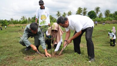 Hari Bumi Sulsel Tanam 2 Juta Pohon, Terbesar di Indonesia