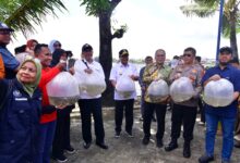 Gerakan Tebar Benih Ikan Pemprov Sulsel Bantu Ekonomi Masyarakat Bitoa dan Bangkala Makassar