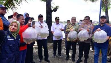 Gerakan Tebar Benih Ikan Pemprov Sulsel Bantu Ekonomi Masyarakat Bitoa dan Bangkala Makassar