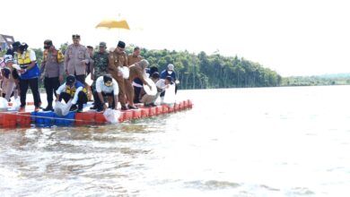 Tebar 250 Ribu Benih, Pj Gubernur Sulsel Target Wajo Jadi Pusat Ikan Air Tawar