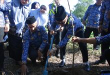 Pj Gubernur Prof Zudan Canangkan Gerakan Sulsel Menanam, Satu Pohon Tiap KK