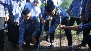 Pj Gubernur Prof Zudan Canangkan Gerakan Sulsel Menanam, Satu Pohon Tiap KK