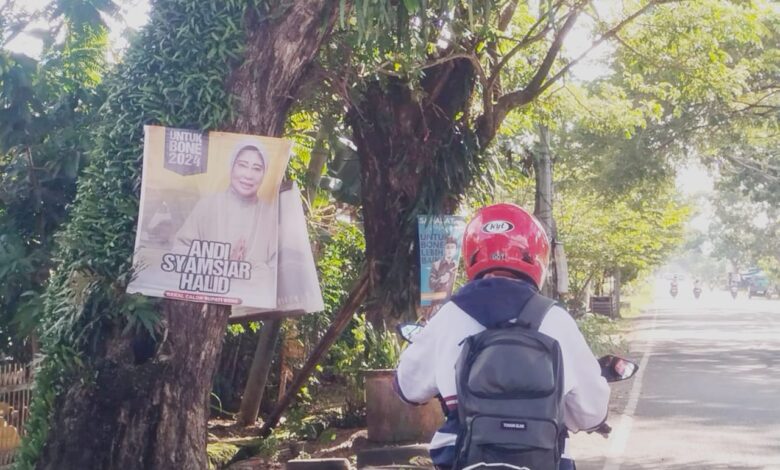 Bawaslu Bone Akan Tertibkan APK Yang Dipaku di Pohon