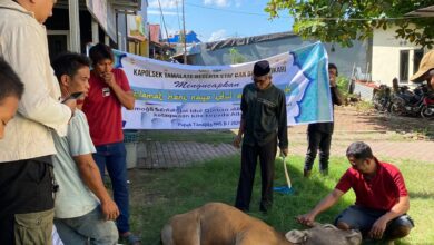 Sambut Hari Raya Idul Adha 1445 H, Seluruh Karyawan Mercure Makassar Nexa Pettarani Ikut Berqurban