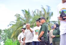 Peringati Hari Lingkungan Hidup, Bupati Andi Utta Tanam Mangrove