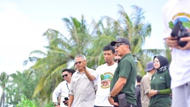 Peringati Hari Lingkungan Hidup, Bupati Andi Utta Tanam Mangrove