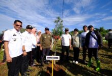 Peringati Hari Lingkungan Hidup Sedunia, Pemkab Gowa Tanam 1.000 Pohon di Lahan Kritis