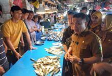 Laporan Pengujian Ikan di Pasar Masomba Kota Palu: Bebas dari Kandungan Formalin