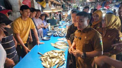 Laporan Pengujian Ikan di Pasar Masomba Kota Palu: Bebas dari Kandungan Formalin