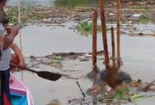 Warga Desa Latonro Temukan Sosok Mayat Perempuan Hanyut di Sungai Cenrana