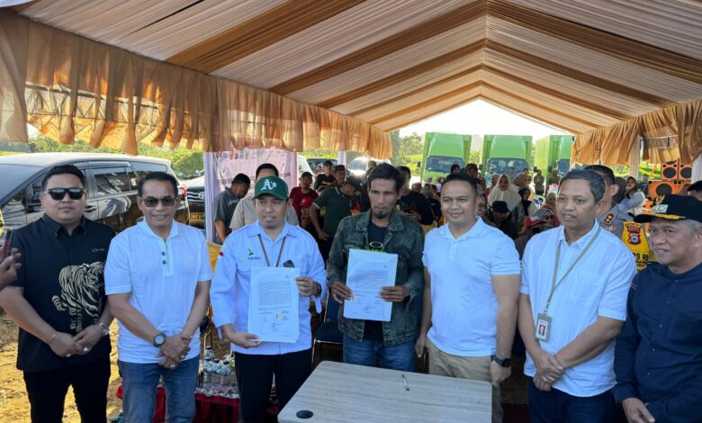 Panen Perdana Pisang Cavendish di Bone Capai 2 Ton