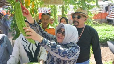 Indira Yusuf Ismail Tinjau Produk UMKM, Main Engklek dan Panen Sayur di Longwis Ichinomia