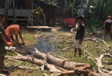 TRC BPBD Selayar Eksekusi Pohon Rawan Tumbang di Benteng