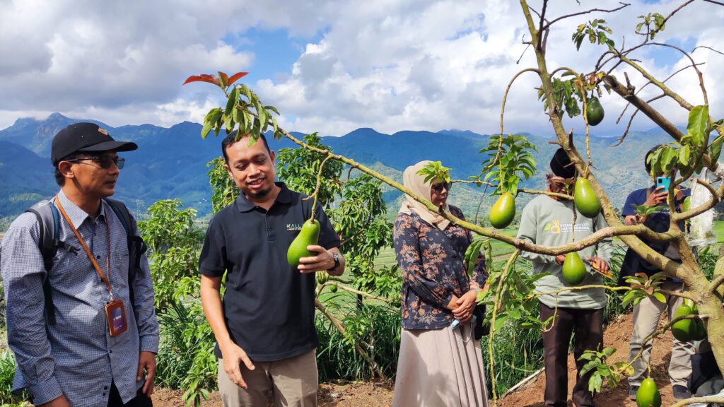 LAZ Hadji Kalla Panen Perdana