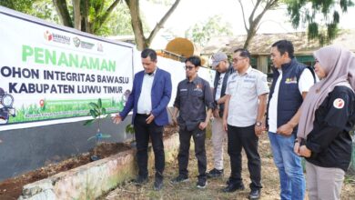 Badan Pengawas Pemilihan Umum (Bawaslu) Kabupaten Luwu Timur meresmikan Taman Manggis di halaman kantor, Jalan Dr. Sam Ratulangi Puncak Indah, Malili.