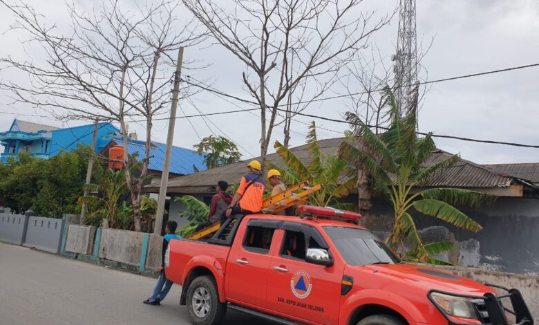 BPBD Selayar Akhirnya Tebang Pohon Rawan Tumbang di Benteng