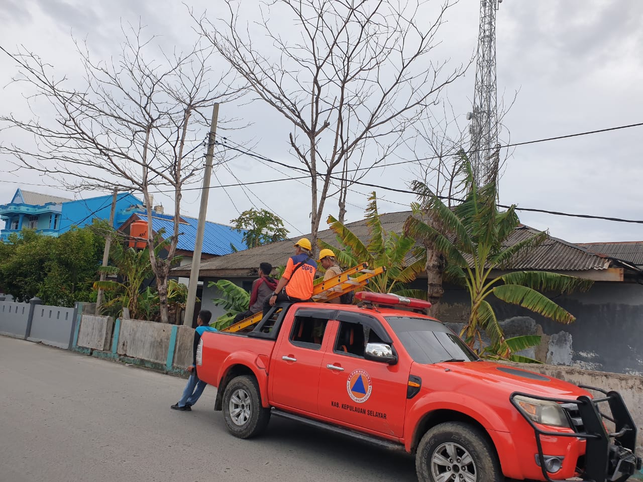 BPBD Selayar Akhirnya Tebang Pohon Rawan Tumbang di Benteng