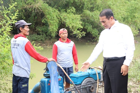 Strategi Pompanisasi Mentan Manjur, BPS : Anomali, Produksi Meningkat Saat Paceklik