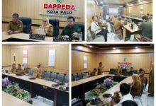 Sekda Palu Irmayanti Rapat Zoom Meeting Bersama Mendagri