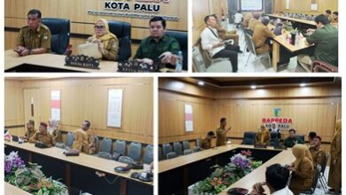 Sekda Palu Irmayanti Rapat Zoom Meeting Bersama Mendagri