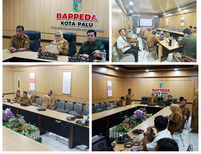 Sekda Palu Irmayanti Rapat Zoom Meeting Bersama Mendagri