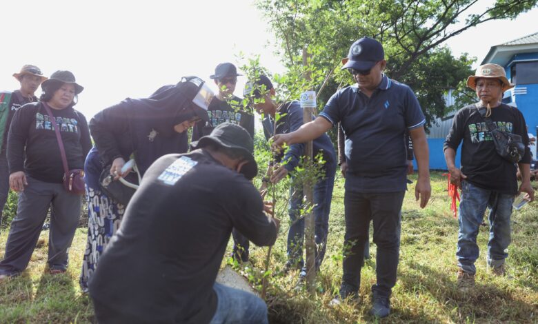 Peringati HPSN 2025, DLH Makassar Tanam Puluhan Pohon Ketapang Kencana di TPS 3R Untia