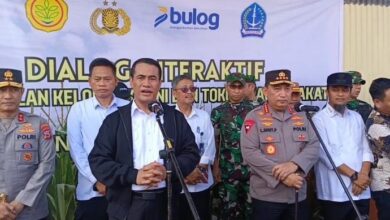 Dana Segar Rp5 Triliun untuk Petani Jagung di Bone, Mentan: Harga Jagung Tak Boleh Lagi di Bawah HPP