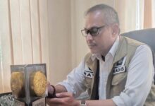 TPA Passippo Overload, DLH Usul Dana Pembenahan Total, Pemkab Bone 'Janji' Kucur di Parsial 2025