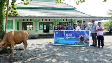 Huabao Indonesia Salurkan 17 Sapi Kurban untuk Warga Lingkar Industri Morowali