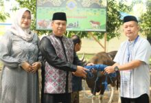 Lantamal VI Laksanakan Penyembelihan Hewan Qurban dalam Rangka Idul Adha 1446 H/2025 M