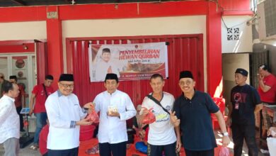 Keluarga Besar PDI Perjuangan Sulsel Kurban 134 Ekor Hewan, 45 Ekor Sapi dan 3 Ekor Kambing Diantaranya Disumbangkan ARW