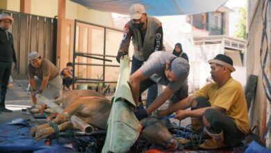 Masjid Al Ikhlas Prima Griya Kurban Delapan Ekor Sapi