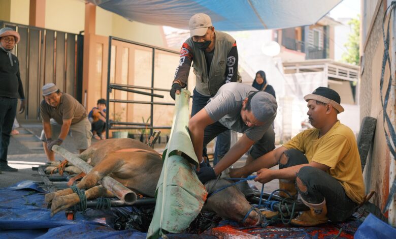 Masjid Al Ikhlas Prima Griya Kurban Delapan Ekor Sapi