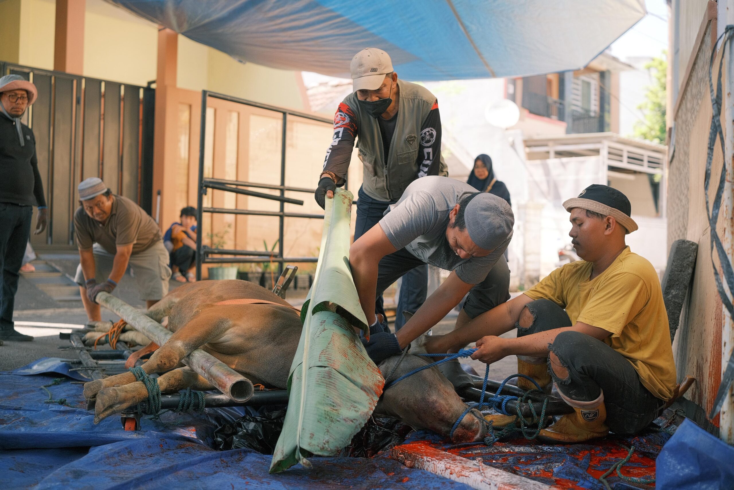 Masjid Al Ikhlas Prima Griya Kurban Delapan Ekor Sapi