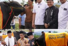 Hadianto Rasyid Serahkan Sapi Kurban Black Mamba Bantuan Presiden Prabowo di Kawasan Huntap Petobo Kota Palu