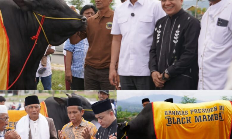 Hadianto Rasyid Serahkan Sapi Kurban Black Mamba Bantuan Presiden Prabowo di Kawasan Huntap Petobo Kota Palu
