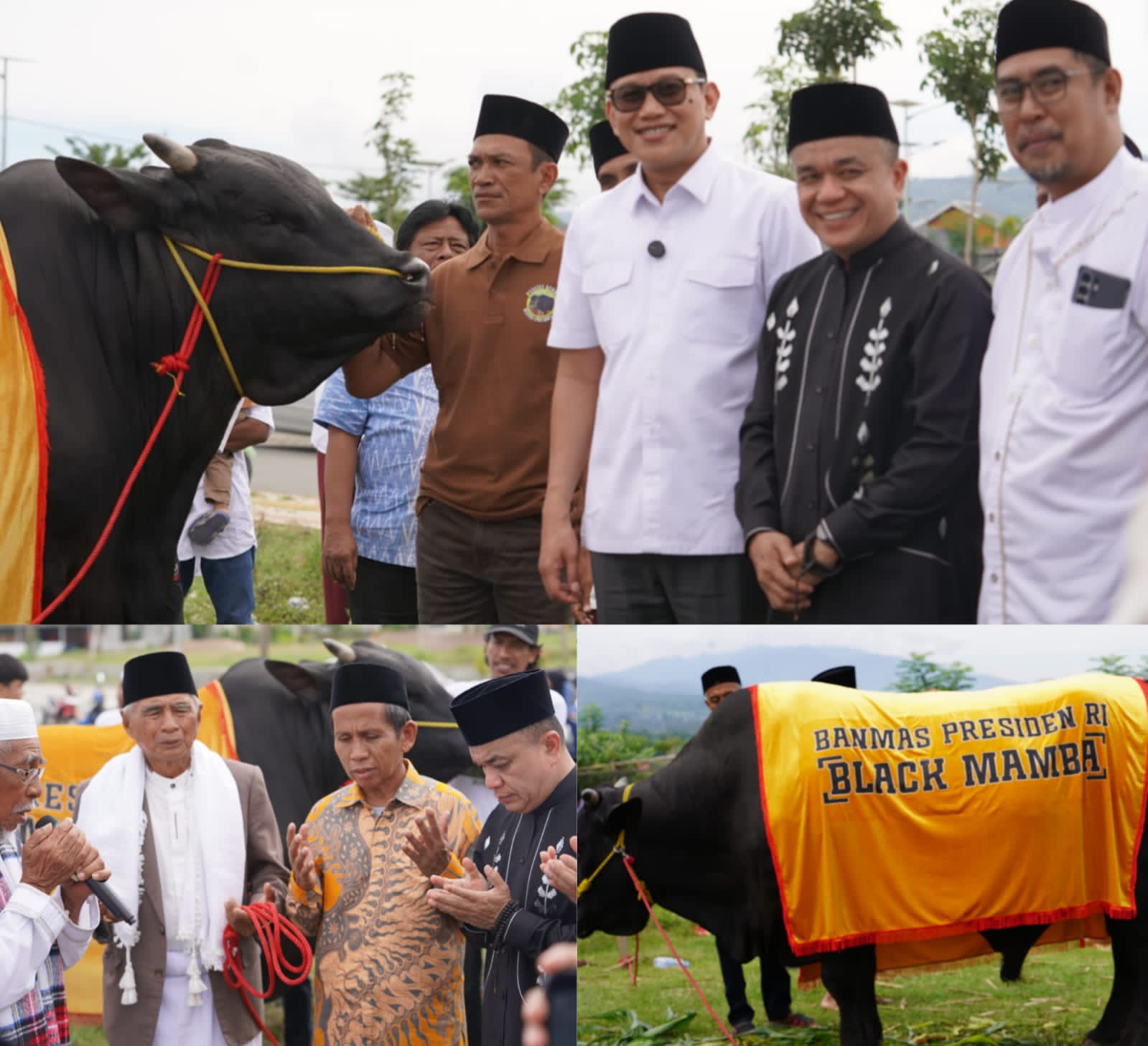 Hadianto Rasyid Serahkan Sapi Kurban Black Mamba Bantuan Presiden Prabowo di Kawasan Huntap Petobo Kota Palu