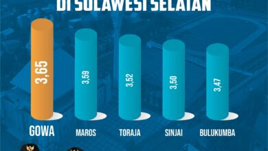 Gowa Urutan Pertama Kabupaten Termaju di Sulawesi Selatan Berdasarkan Skor IDSD 2024