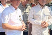 Bantul Dukung Program Swasembada Pangan Nasional Lewat Berbagai Inisiatif Pertanian