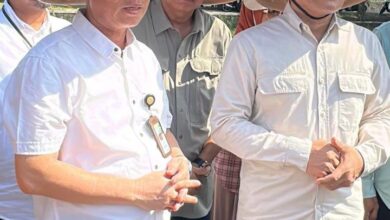 Bantul Dukung Program Swasembada Pangan Nasional Lewat Berbagai Inisiatif Pertanian