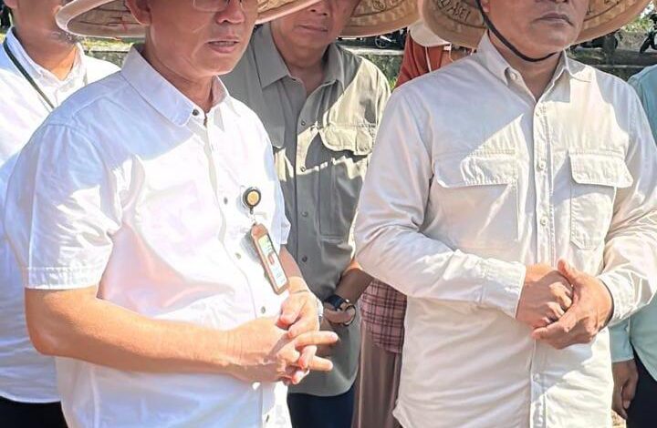 Bantul Dukung Program Swasembada Pangan Nasional Lewat Berbagai Inisiatif Pertanian
