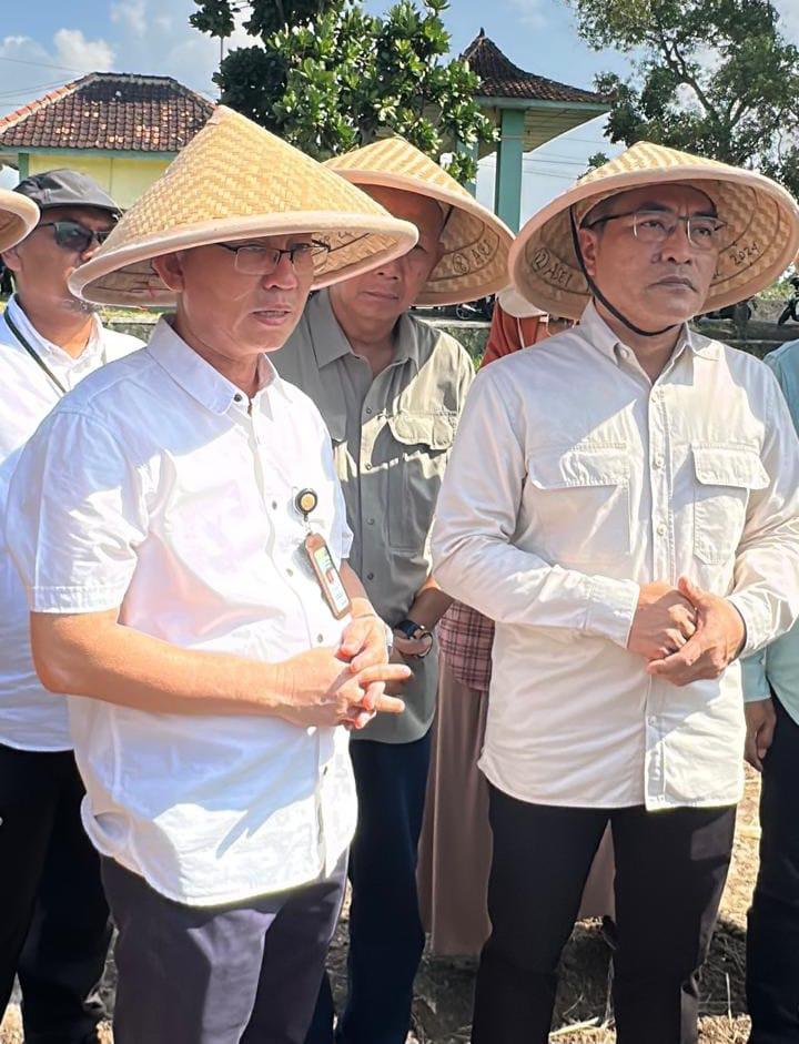 Bantul Dukung Program Swasembada Pangan Nasional Lewat Berbagai Inisiatif Pertanian
