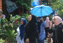 Ikuti Lomba Kelurahan Terpadu Tingkat Provinsi, Ketua TP PKK Makassar Pantau Persiapan Kelurahan Panampu