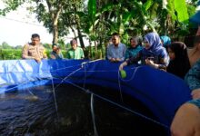 TP PKK Gowa Kembali Sebar Bantuan Pangan kepada KME di Pallangga dan Bajeng