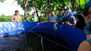 TP PKK Gowa Kembali Sebar Bantuan Pangan kepada KME di Pallangga dan Bajeng