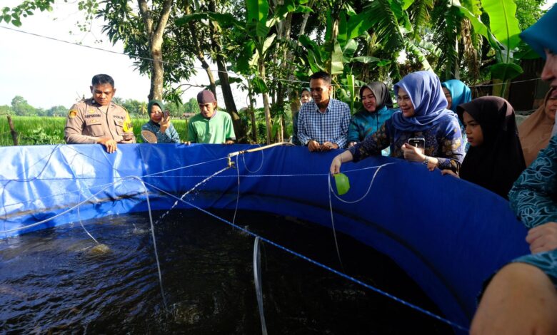 TP PKK Gowa Kembali Sebar Bantuan Pangan kepada KME di Pallangga dan Bajeng